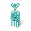 Robin Egg Blue Cello Sweet Bags - 27cm