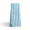 Light Blue Stripe Pick n Mix Paper Bags