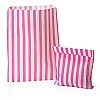 Bright Pink Candy Stripe Paper Bags