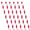 Apple Red Stripe Paper Straws (24 Pack)