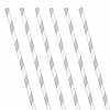 Silver Stripe Paper Straws (24 Pack)