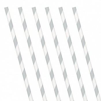 Silver Stripe Paper Straws (24 Pack)