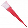 Rose Tube with Red Ribbon